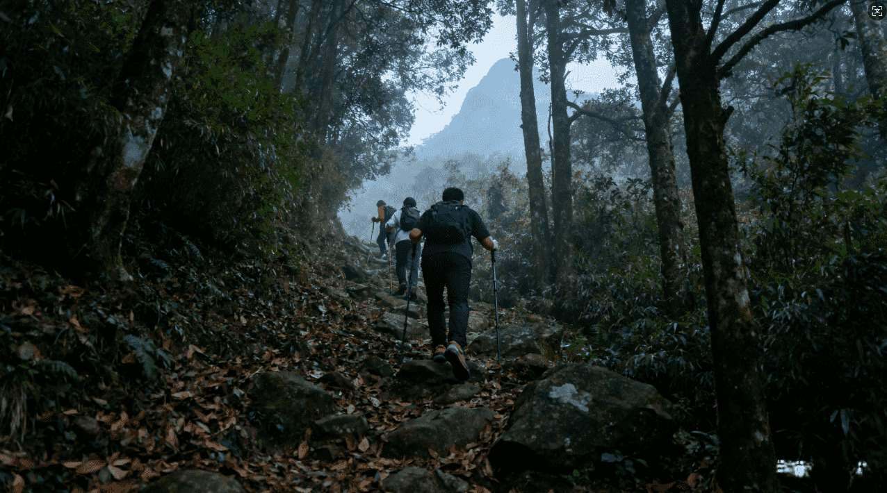 如何判断天行加速器是否被封禁及详细操作步骤